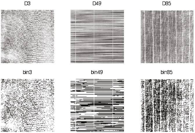 56 CAPÍTULO 3. AUTÓMATAS CELULARES Figura 3.11: Arriba: 3 imágenes del álbum Brodatz: D3, D49 y D85. Abajo: imágenes binarias correspondientes.