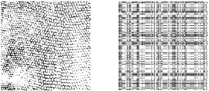 58 CAPÍTULO 3. AUTÓMATAS CELULARES Figura 3.14: Izquierda: imagen bin3 (256x256).