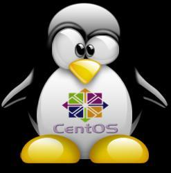 Este sistema operativo basado en Linux es gratuito y viene integrado de serie en el servidor elegido, por lo que se presenta como una buena opción.
