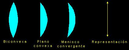 Lentes convergentes Las lentes convergentes son más gruesas por el centro que por el borde, y concentran (hacen converger) en un punto los