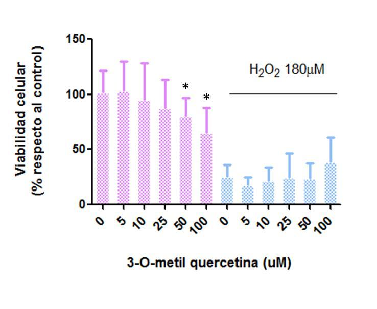 RESULTADOS II Luteolina presenta actividad Isoquercitrina 3-OMeQ muestra no actividad presenta actividad neuroprotectora Quercetina a