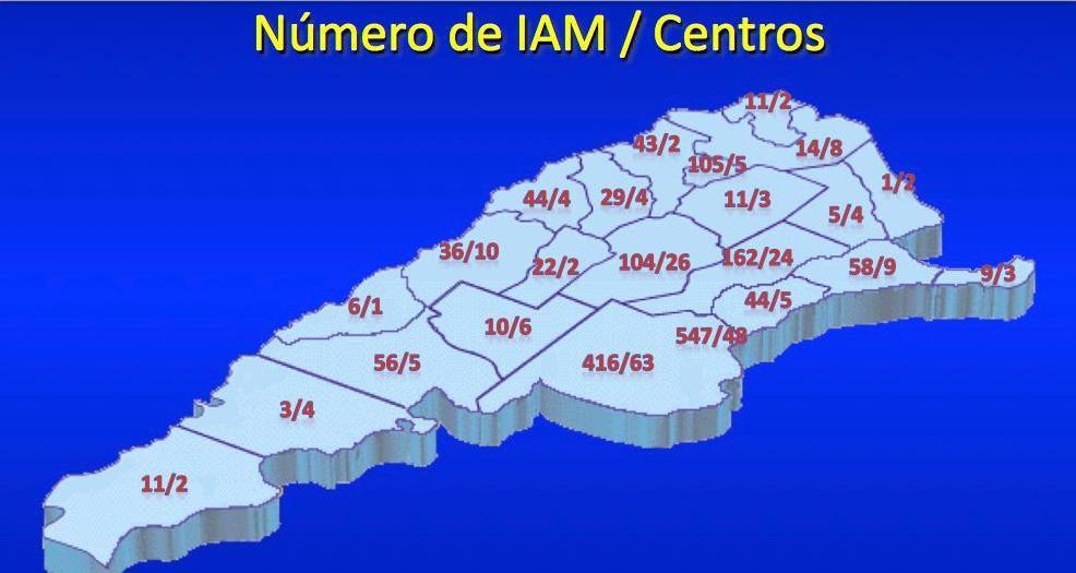 Encuesta nacional de infarto agudo de miocardio con elevación del ST en la República Argentina (ARGEN-IAM-ST) National Survey of ST- Segment Elevation Acute Myocardial Infarction in Argentina