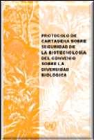 El Protocolo de Cartagena sobre Seguridad de la Biotecnología La negociación del Protocolo inicia en 1995, se conforma un Grupo de Trabajo Ah Hoc, 5 años después se adopta el texto en el 2000.