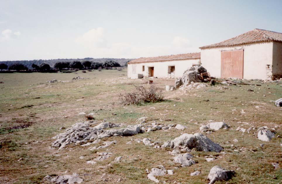 VISTA GENERAL DE LA ZONA. El caserío de la Dueña de Abajo en una fotografía de Enríquez (1993).