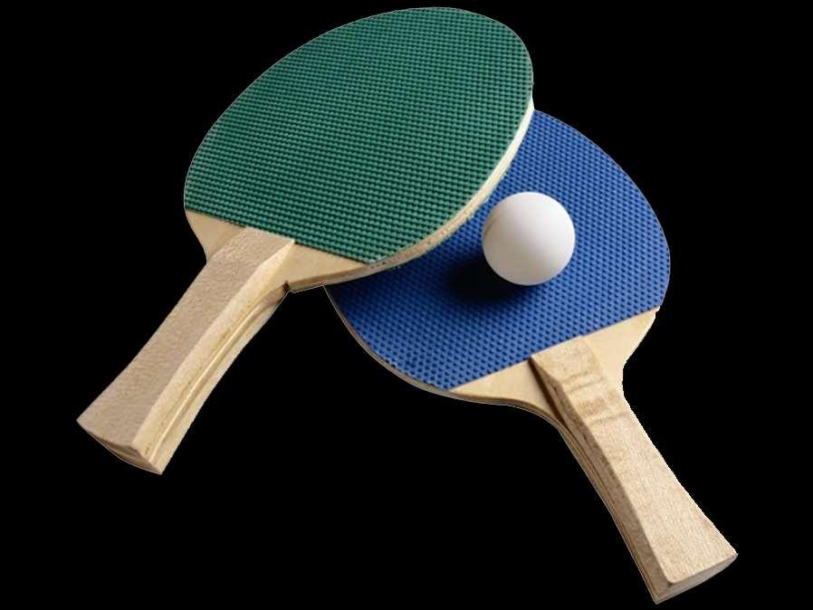 Pack de raquetas de ping pong Económicas