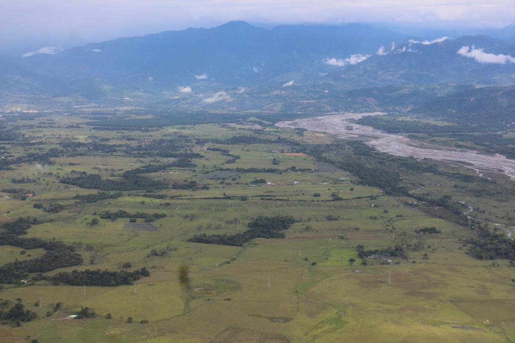 Alerta temprana por deforestación en la Orinoquia: un