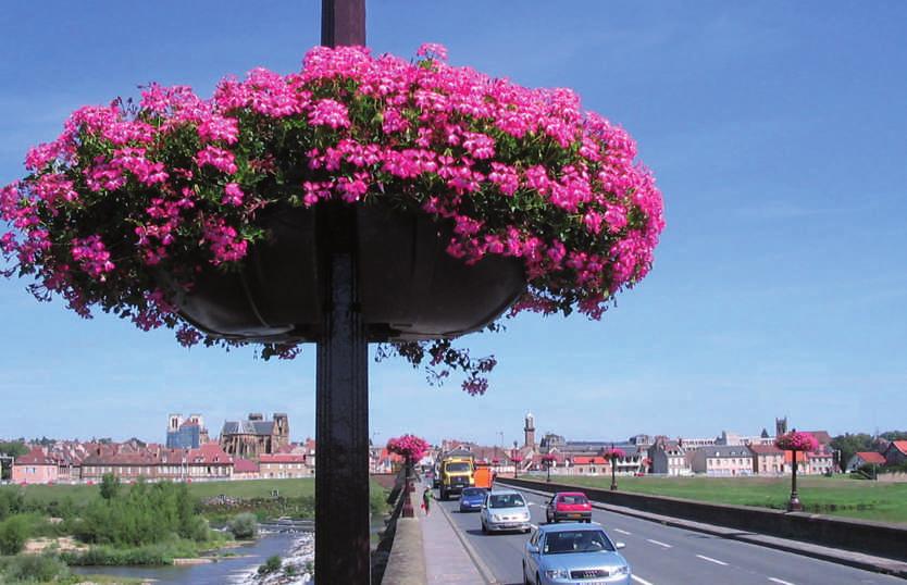 Équateur Adornar su ciudad con flores permite
