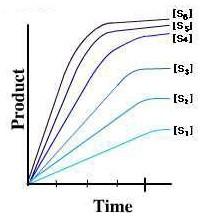 2.- Concentración de sustrato A medida que aumenta la cantidad de sustrato la velocidad aumenta en forma lineal (zona proporcional), luego si bien la velocidad continúa aumentando ya no lo hace en