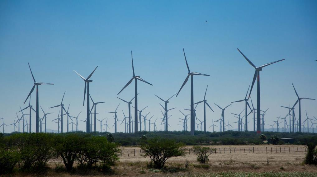 El contexto: las eólicas en México Felipe Calderón (2006-2012) y el compromiso ambiental La actividad eólica - solución o amenaza - o las dos?