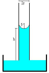 Los líquidos formados por moléculas con fuerzas intermoleculares fuertes tienen tensiones superficiales altas. Debido al enlace de hidrógeno, el agua tiene una gran tensión superficial.