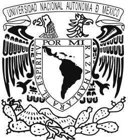UNIVERSIDAD NACIONAL AUTÓNOMA DE MÉXICO