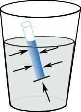 Los líquidos son fluidos incompresibles mientras que los gases son fluidos compresibles.