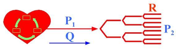 La resistencia depende de las dimensiones del tubo y de la naturaleza del fluido, y mide las fuerzas de rozamiento o fricción entre las propias moléculas del fluido y entre éstas y las moléculas de
