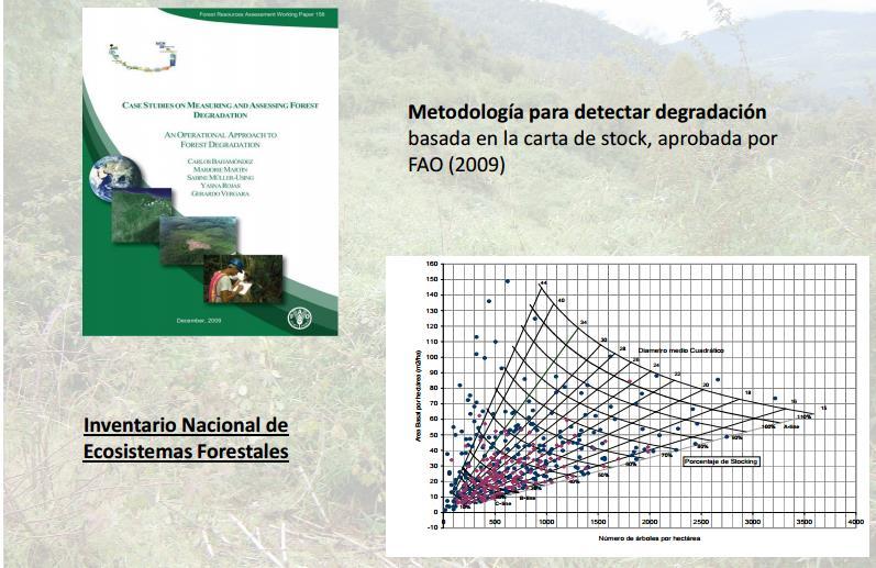 Inventario y Monitoreo de Ecosistemas Forestales (INFOR) Bosques que permanecen Bosques Coordinador: Carlos Bahamondez Adaptación y