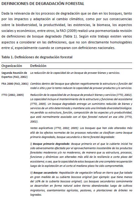 Circunstancias Nacionales Definición operativa Degradación REDD+ la pérdida a largo plazo, inducida por el hombre (que persista por X años o