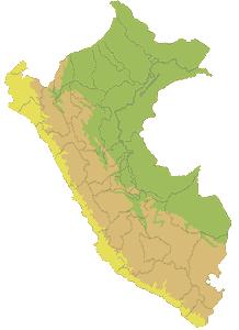 Principales Puntos de Producción Putumayo Perú: Cultivos de Coca, 2016 (ha) Zonas 2016 % VRAEM 20 304 46,3 La Convención - Lares 10 262