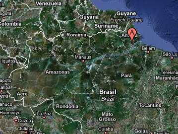 Noticias limítrofes BRASIL Fiebre de Oropouche Autoridades sanitarias notificaron 650 casos de fiebre de oropouche en el