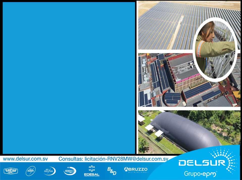 Licitación DELSUR-CLP-RNV-1-2018 28 MW Fotovoltaica y biogás Consejo