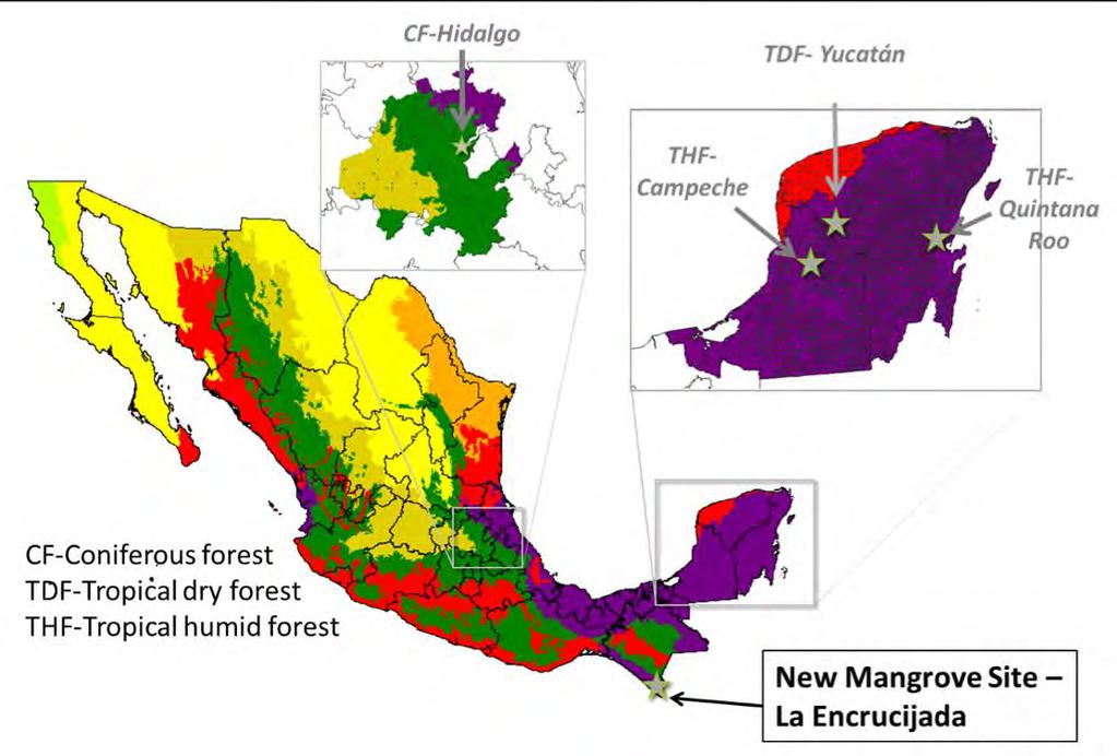 Sitios de Monitoreo Intensivo en México (Nuevo) Sistema selva seca Criterios de selección: a) Representativo de paisajes con gran contribución al balance neto del carbono (sector USCUSB) b) Área