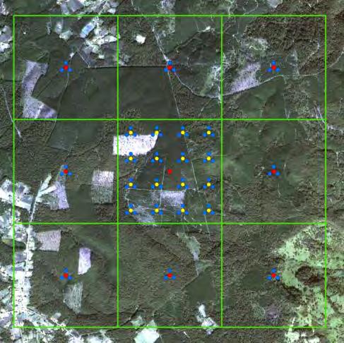 Área de estudio Sitio de Monitoreo Intensivo de Carbono Atopixco, Hidalgo Área: