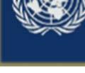 Organización de las Naciones Unidas promueve un convenio voluntarioo denominado Enfoque Estratégico