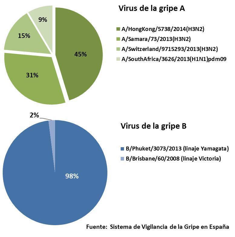 INTRODUCCIÓN 63 Figura II.6.Caracterizaciones genéticas de detecciones de virus de la gripe. Temporada 2014-15. España.