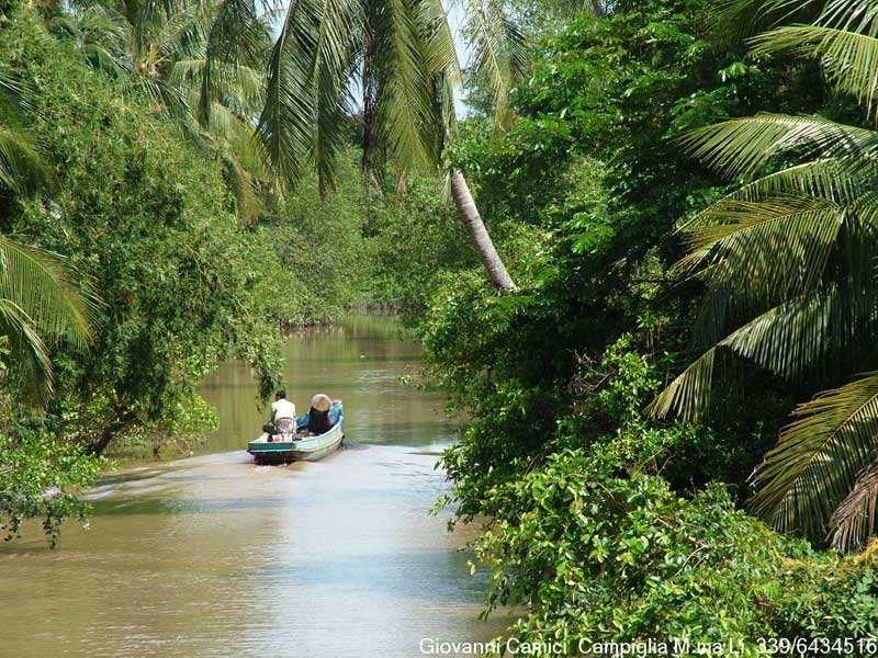 17- HO CHI MINH / DELTA DEL MEKONG / CANTHO Salida por carretera hacia el Delta del Mekong, donde tendremos ocasión de hacer un recorrido en barca por canales y ver la forma de vida tradicional de