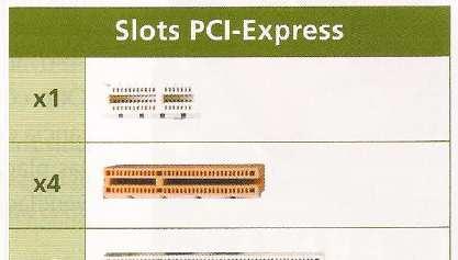 Bus de expansión: PCI- Express Cada slot de expansión lleva uno, dos, cuatro, ocho, dieciséis o treinta y dos enlaces de datos entre la placa base