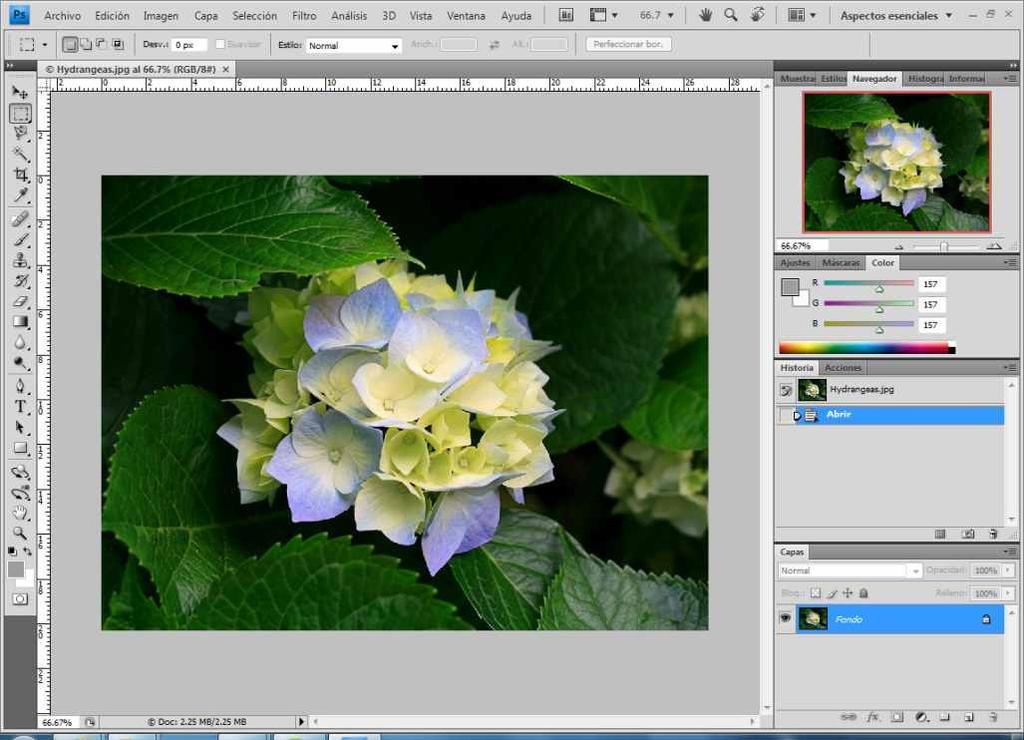 La Ventana de Adobe Photoshop CS6 El ambiente de trabajo de Adobe Photoshop CS6 está compuesto por: la barra de menú caja de opciones, la caja de herramientas y los paneles flotantes.
