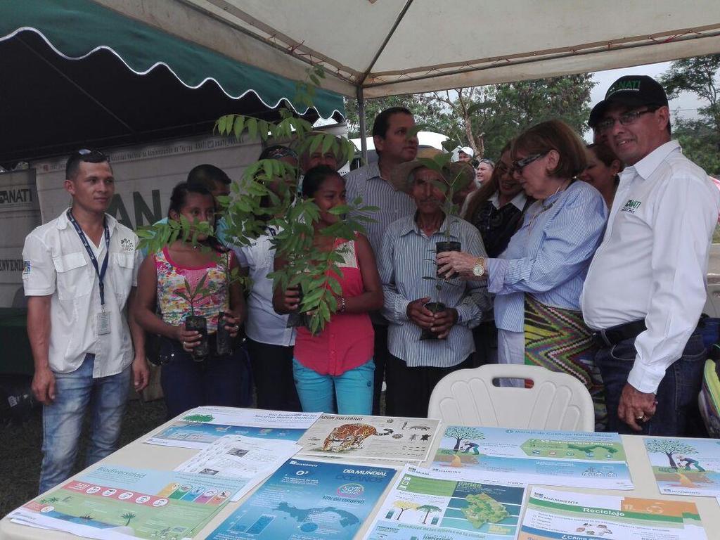 Instituciones participantes El MIDA distribuyó 100 plantones de árboles maderables de Cocobolo, Roble, Guayacán, Nim y Guaba.