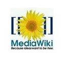 las wikis públicas serán indexadas y aparecerán en los resultados de