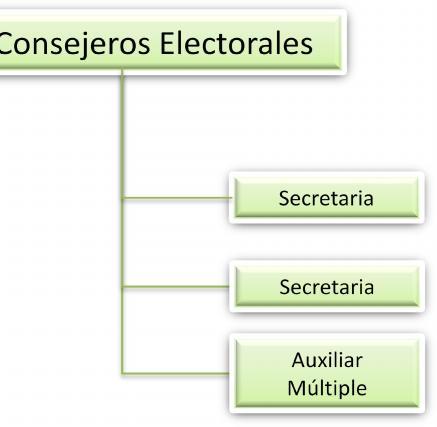 Organismo Electoral.