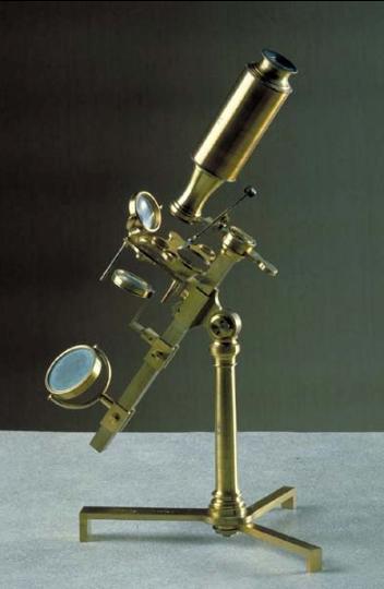 El avance de la tecnología En los siglos XVIII y XIX el microscopio se perfecciona cada vez mas y mas.