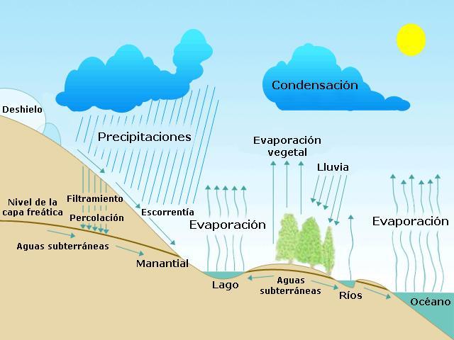 PROCESOS HIDROLÓGICOS BÁSICOS En la Figura 1 se ilustra esquemáticamente el ciclo hidrológico del sistema suelo- agua- plantaatmósfera. Figura 1. Ciclo hidrológico En dicha figura pueden verse los componentes principales de la circulación del agua.