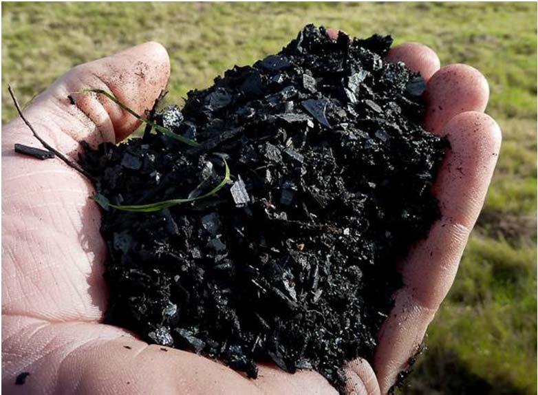 CONCLUSIONES 1. En el primer año de estudio, la adición de biocarbón al suelo aumentó el contenido de agua del suelo 2. El biocarbón aumentó la cobertura vegetal de las parcelas 3.