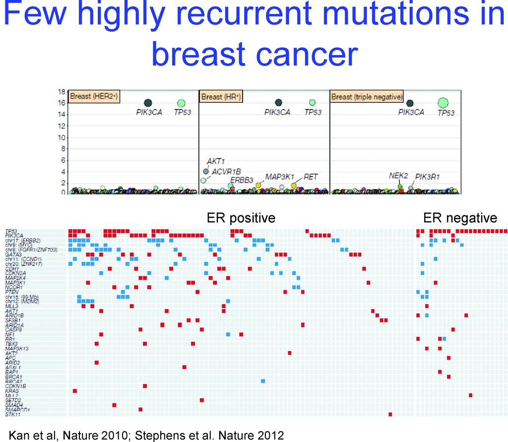 362 JORGE S. REIS-FILHO Cuadro 8 qué pasa si miramos el repertorio de mutaciones de 101 tumores para ver si hay dos que tengan la mutación exactamente en el mismo gen.
