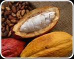 Las exportaciones de cacao en grano representaron el 41% del total exportado en el sector por Colombia Principales productos exportados en 2017 Cacao en