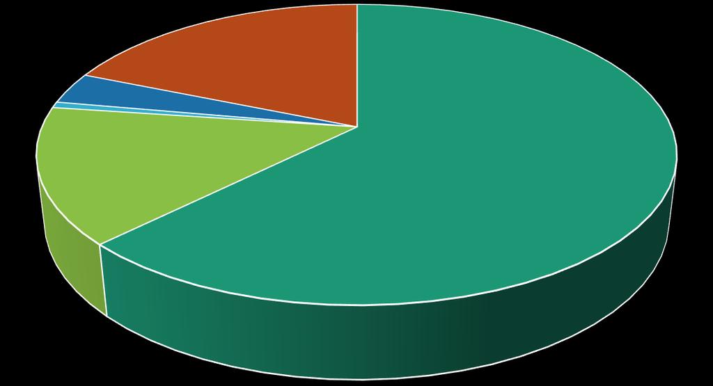 Contratos Construcción Parque Eólico 1% 3% Distribución % Precio Contrato 19% 15% 63% TSA BOP MPT OHL Otros Balance of Plant (BoP) Contrato EPC
