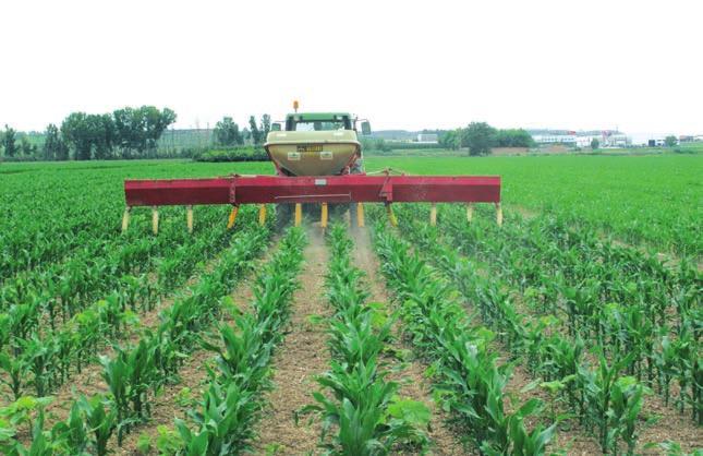 La fertilización nitrogenada del maíz y el nitrógeno residual del suelo Un factor clave tanto por su coste como por su influencia sobre el rendimiento final E. Martínez de la Cuesta, A. Yakoub, A.