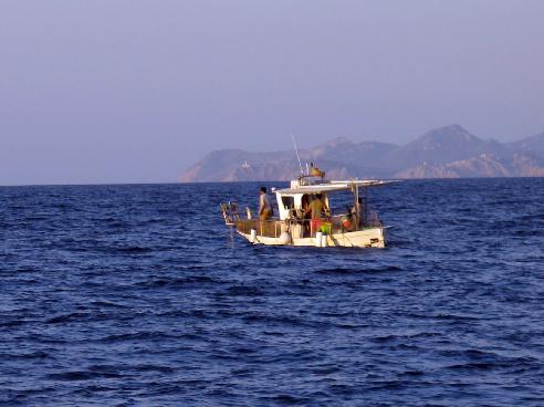 Menorca Los dos principales puertos pesqueros de Menorca que faenan en el Canal son los de Mahón y Ciutadella.