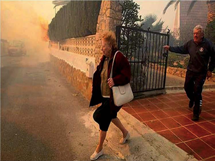 miles de incendios, que el ciprés es un problema de seguridad para las zonas de viviendas, y no podemos