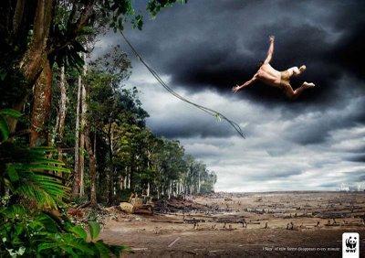 Con un toque de humor, el WWF recurre a Tarzán para representar en cierta forma el problema y denuncia la deforestación a pasos agigantados que están sufriendo los bosques del