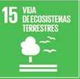 15. Vida de Ecosistemas Terrestres El componente N 1 del MDEA contiene estadísticas de ecosistemas terrestres que ayudan a medir los indicadores del objetivo N 15 de los ODS Sub Componente Tópico