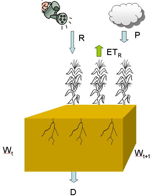 ETr y PEA: Balance de agua en el suelo ETc = ET 0 Kc = máxima evapotranspiración del cultivo.
