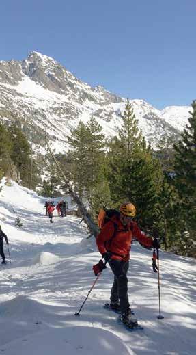 Multiactividades Invernales CURSO DE MULTIACTIVIDADES INVERNALES EN ALTA MONTAÑA - Iniciación a: esquí de fondo, excursionismo con raquetas de nieve, técnicas de cramponaje y uso de piolet, seguridad