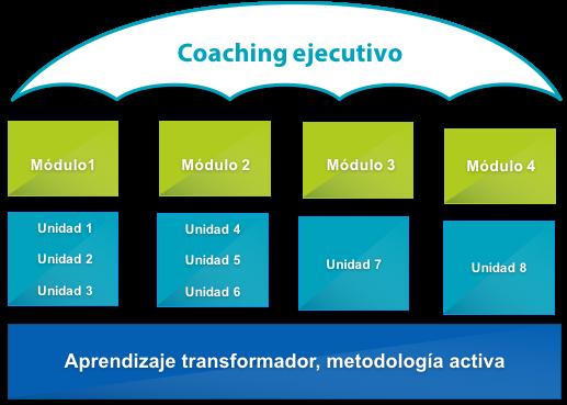 V. Estrategias didácticas El curso introduce la metodología del aprendizaje transformador y herramientas de coaching ejecutivo.