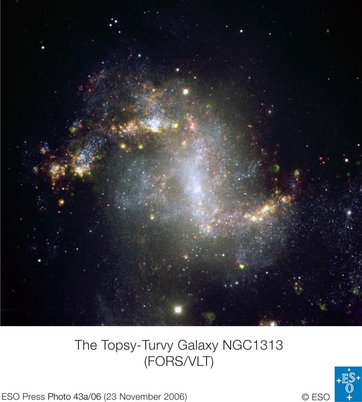NGC1313