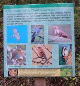 FAUNA Cal destacar que els hàbitats agrícoles de cereals tenen una gran diversitat de fauna, destacant sobretot el cas dels ocells.
