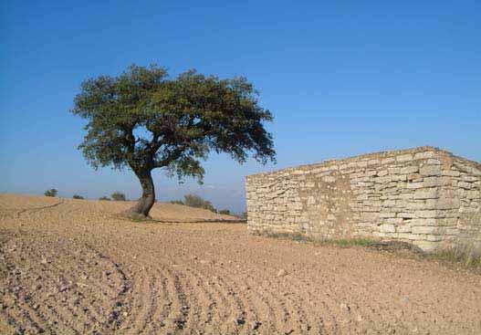Als punts més baixos, al llit de la vall, se situa l ús agrícola que s estructura a través de suaus abancalaments de murs de pedra seca.