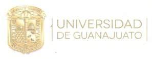 mejorar los indicadores de competitividad académica de nuestra universidad CONVOCA a los coordinadores de programas de posgrado de la Universidad de Guanajuato a que postulen candidatos a se r: